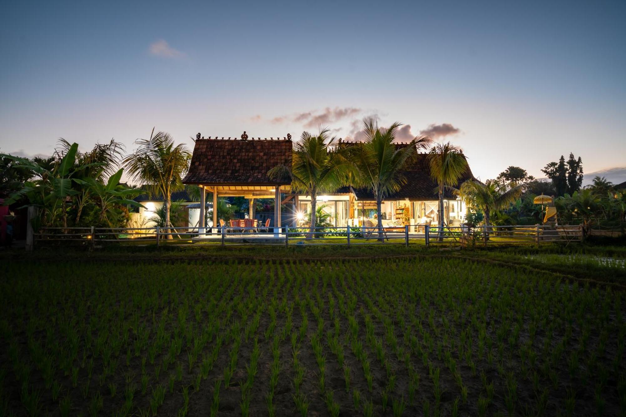 Villa Kelapa Di Sawah By Travellink Bali
